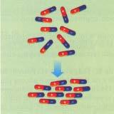 electronegative atom and a