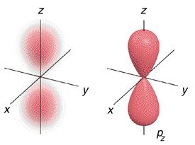 Gli Orbitali p 56 Distribuzione di probabilità Radiale n = l =