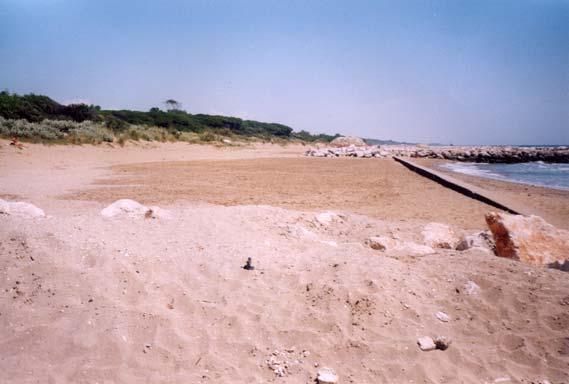 quota media di 5 m. Sentieri di accesso alla spiaggia (4%). Area naturale.