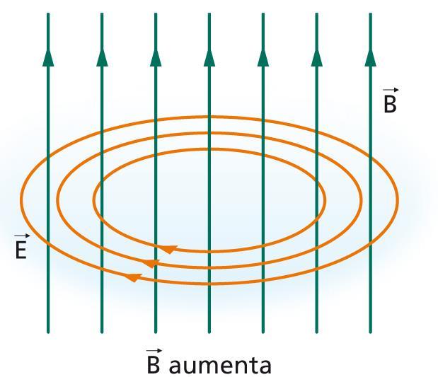 Le linee del campo elettrico indotto Se il campo magnetico aumenta, le linee del campo