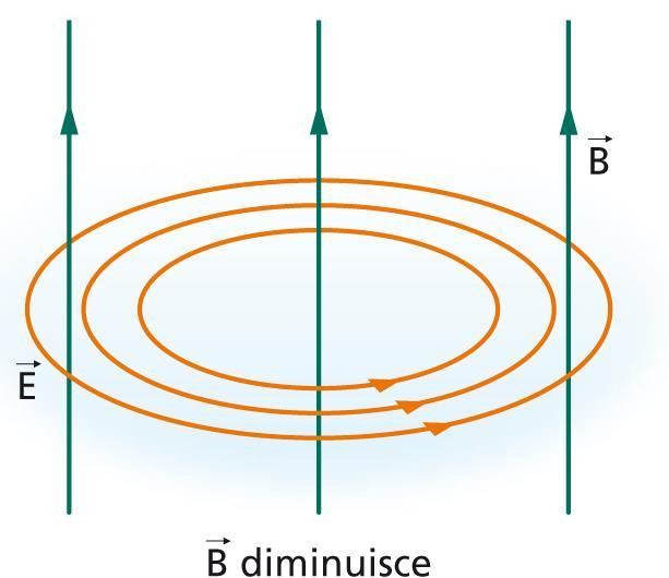Se il campo magnetico diminuisce, le linee del campo elettrico si avvolgono in senso