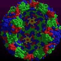 14 CryoEM