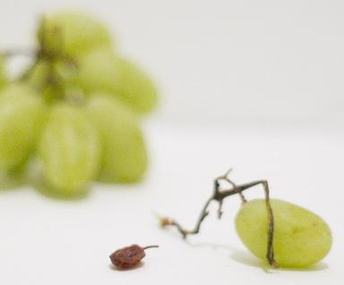 L operatore che lavora nel campo delle scelte difficili Dovrebbe conoscere e approfondire i propri valori, emozioni e stereotipi sul tema MORTE