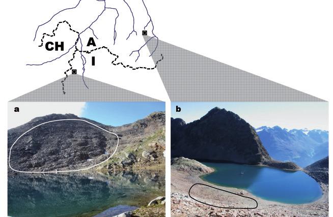 Le Alpi che cambiano tra rischi e opportunità of environmental and climatic change (SOMMARUGA-WÖGRATH et al., 1997; MOSELLO et al, 2002; BATTARBEE et al.