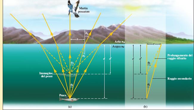 Se il sole è inclinato di 42 sopra l orizzonte con quale angolo viene visto dal pesce? 11.