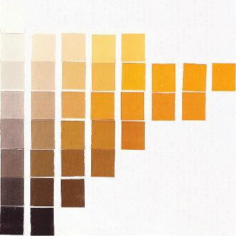 Colori: Esempio di tavolozza di colori nelle gradazioni dell ocra Le tinteggiature potranno essere scelte nella gamma dei colori documentabili sulla base delle tracce trovate.
