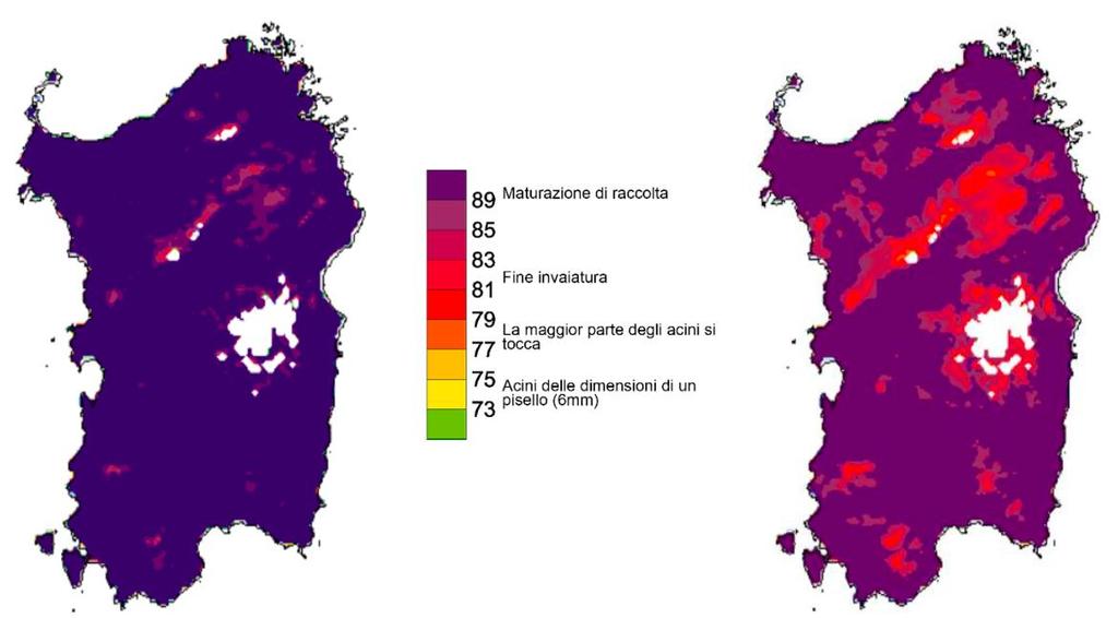 Analisi delle condizioni meteorologiche e conseguenze sul territorio regionale nel periodo ottobre 2015 - settembre 2016 Figura 75: Rilievi fenologici Arpas del mese di aprile 2016.