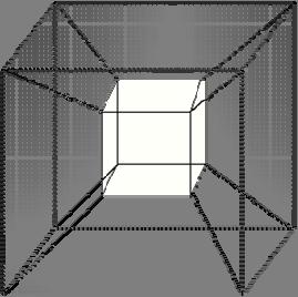 nessioni di tipo wrap-around fra i nodi ai bordi della mesh (Fig.15).