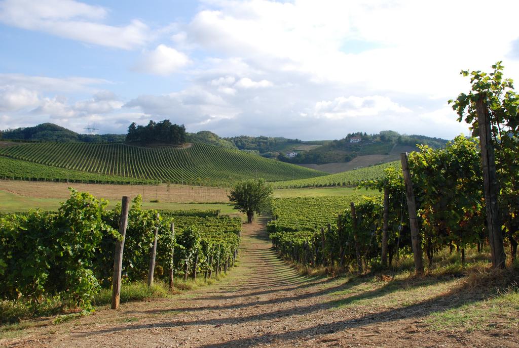 Fig. 2 In primo piano i vigneti dell azienda agricola La Ghibellina e sullo sfondo quelli di Villa Sparina (Monterotondo di Gavi). (Fonte: foto di Maurizio Ravera) Fig.