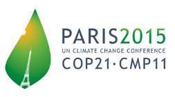 NORMATIVA E POLITICHE FORESTALI IL QUADRO INTERNAZIONALE XIV Congresso Forestale Mondiale Foreste e persone: investire in un futuro sostenibile COP 21 Conference of the parties Paris 2015 Gli scopi: