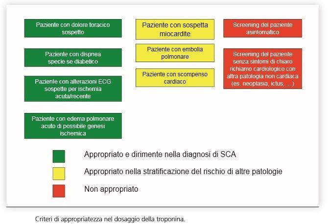 Dosaggio della troponina Il danno miocardico è rilevabile per l aumento conseguente dei valori plasmatici di troponina o della componente MB delle creatinfosfochinasi.