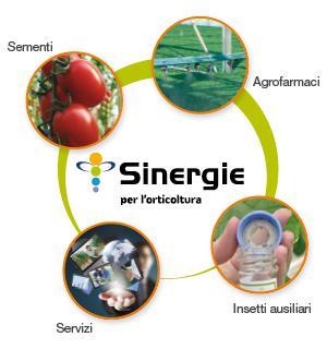 Sinergie: la soluzione Syngenta per le Produzioni Italiane Sostenibili Sinergie per l Orticoltura è una soluzione di produzione integrata unica e innovativa sviluppata per sostenere la qualità e la