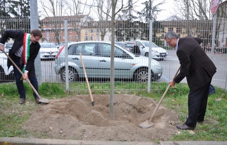 Contributo alla messa a dimora del tiglio a memoria del Prof. Paolo De Benedetti da parte del Vice Sindaco di Asti, Avv.