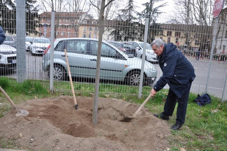 Contributo alla messa a dimora del tiglio a memoria del Prof.