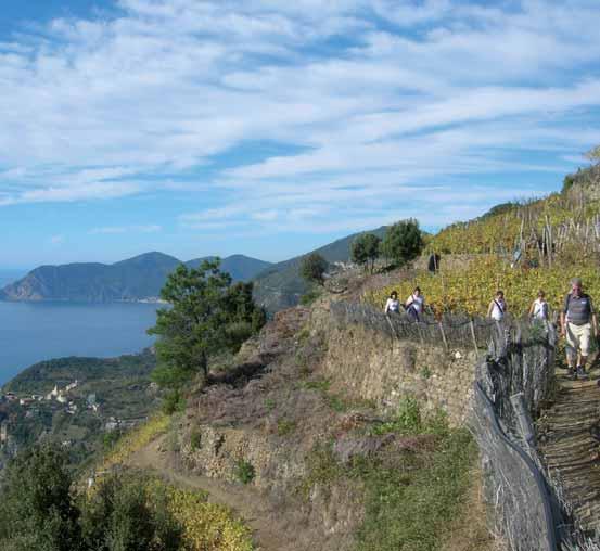 Provincia della Spezia. Sentiero n.1: Di particolare interesse paesaggistico e asse portante della fitta rete sentieristica locale, lungo circa 40 km, il sentiero n.