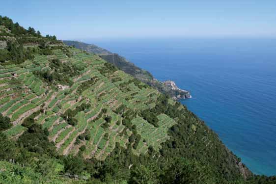 Liguria un passo dopo l altro: il cammino della scoperta.