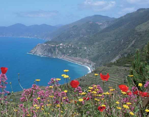 Panorama - Parco Cinque Terre Monte di Portofino. Una ragnatela tessuta da 12 splendidi itinerari per una moltitudine di esperienze, mille punti di vista per una Liguria fuori dal luogo comune.