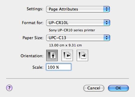 Impostazione delle pagine Prima di poter stampare da un applicazione, è necessario effettuare le necessarie impostazioni degli attributi di pagina.