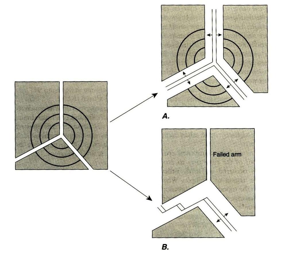 Evoluzione di un rift-margine passivo da un graben a tre bracci Duomo-punto caldo