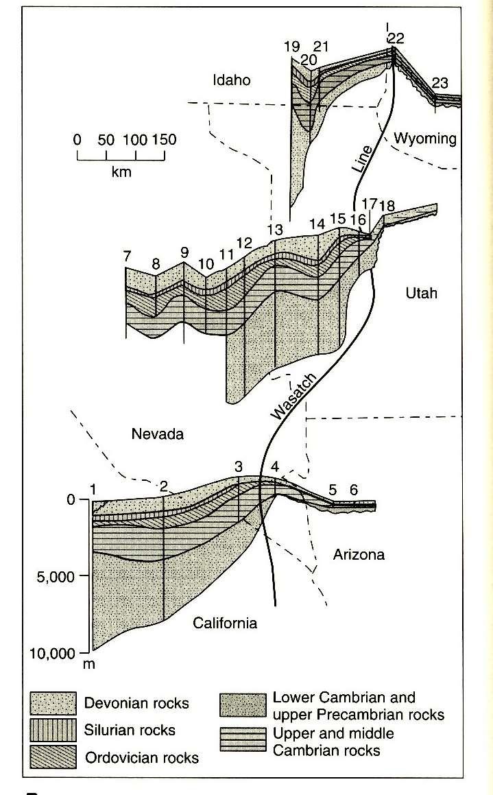 Miogeoclinale post- Belt (Paleozoico-Mz inf) - Cordigliera W del N America Le successioni