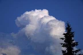 Spesso, sotto la base del nimbostrato sono visibili nubi scure e dall aspetto a brandelli, dette pannus.