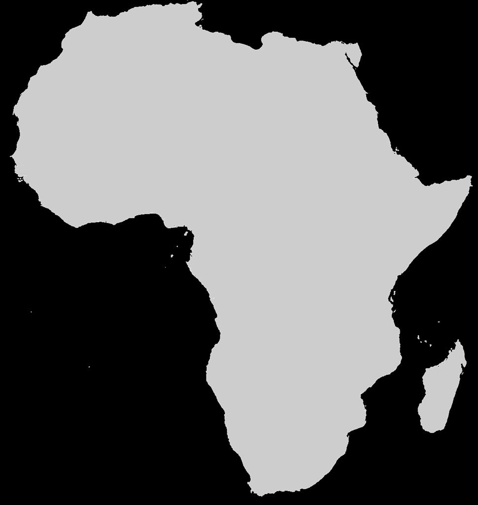 Le opportunità offerte dai mercati dei Paesi dell Africa