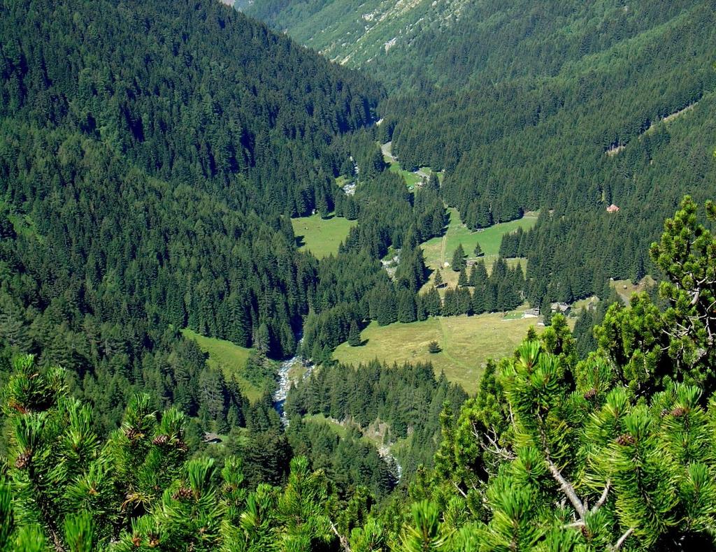 La Carta delle Foreste di Lombardia Per una