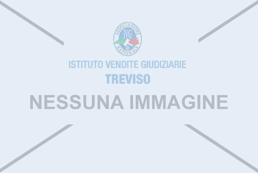 Prezzo base: 48.953,60 euro Data e ora asta: 18 ott 2017 12:00 Luogo vendita: Studio Notarile Associato Baravelli-Bianconi-Talice in Treviso, Via S. Pellico n. 1 N. procedura:232/14 LOTTO B.