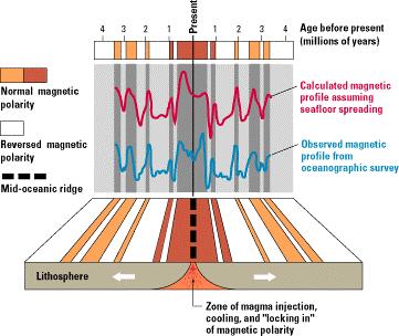 le rocce magnetiche che si trovavano sulla cresta della dorsale e nelle sue vicinanze erano