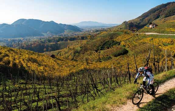 Attività: mountainbike e degustazione Da 180,00 pp Formula vacanza: individuale o in gruppo Durata: 2 notti Adventure Sport e adrenalina tra le colline del Prosecco Superiore DOCG.