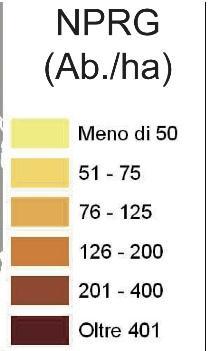 previsti Centro storico 107.000 Città densa 1.317.