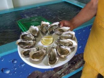 colazioni continentali; 4 pranzi in ristorante con menù leggeri; 4 cene in hotel Acqua in caraffa durante tutti i pasti.