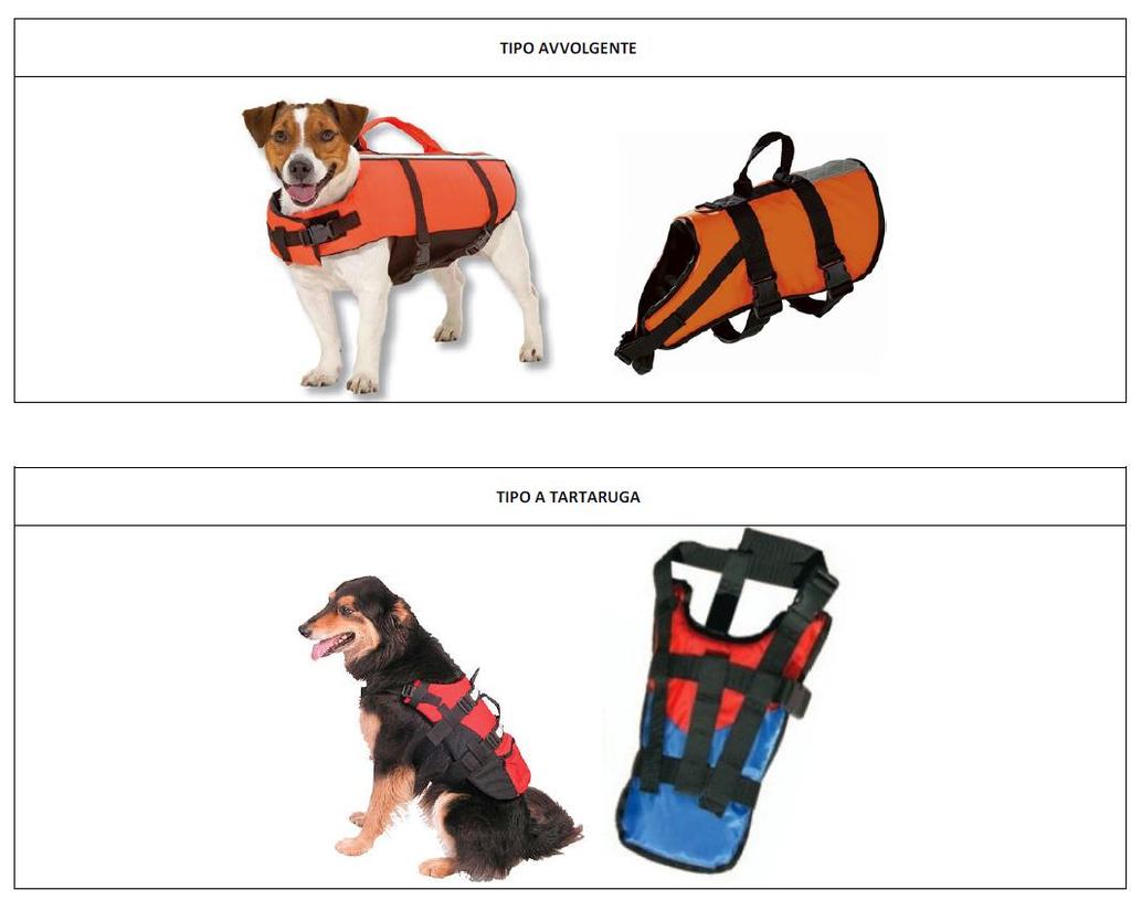 APPENDICE A Aiuto al galleggiamento del cane L aiuto al galleggiamento al cane è obbligatorio durante le tutte le discipline delle Attività natatorie per garantirne la sicurezza; può essere di tipo