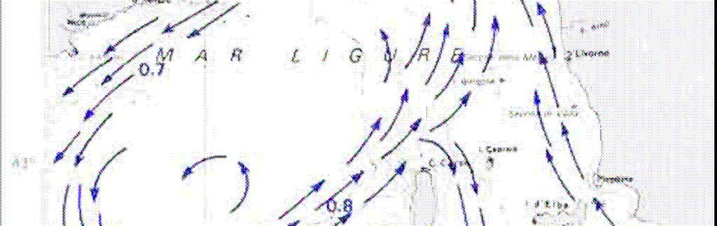 CARTA DELLE CORRENTI SUPERFICIALI