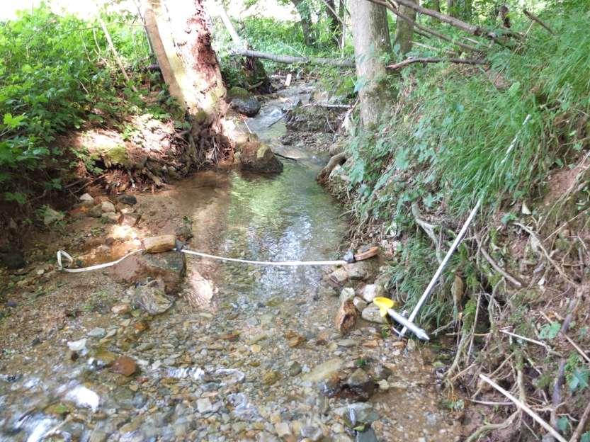 La zona a valle del fronte sorgivo dei