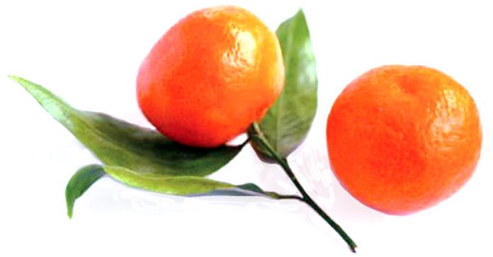 Extra di mandarino Extra mandarin Ingredienti: mandarini 70%, zucchero. Addensante: pectina di frutta. Correttore di acidità:acido citrico. Senza conservanti aggiunti.