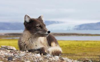 Preferiamo Dalvik alla più famosa Husavik perché il paesaggio è più bello e perché durante l uscita si pesca il merluzzo che poi si cucina appena tornati a terra.