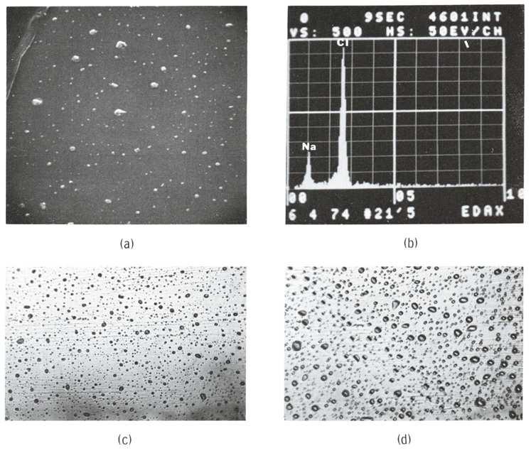 Nucleazione eterogenea da nuclei solubili (a) Fotografia al microscopio elettronico a scansione di un campione di aerosol raccolto a una quota di 9 m sulla superficie dell Oceano Pacifico; (b) L