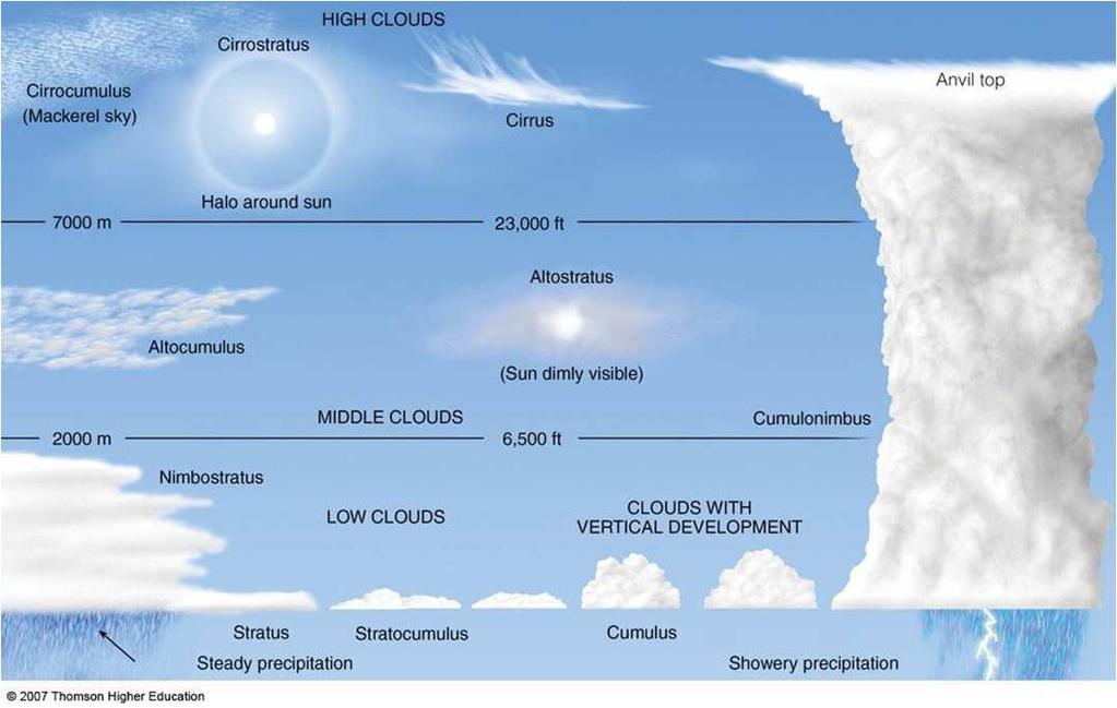 Stratus 7