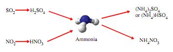 2004) 2 NH3 reagisce velocemente in atmosfera con acido solforico e acido nitrico dando origine ai