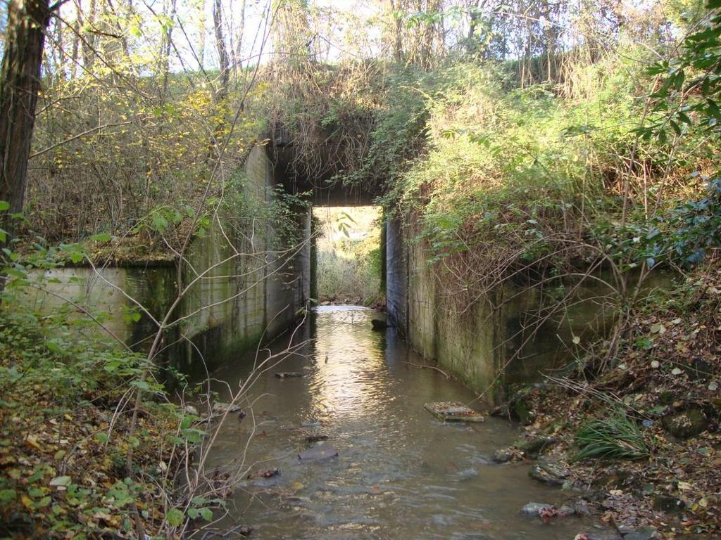 STUDIO IDROLOGICO-IDRAULICO A SUPPORTO DEL RINNOVO DELLA CONCESSIONE DEMANIALE RELATIVA AL PONTE SUL BORRO SAN SALVATORE STRADA COMUNALE BUCINE-MERCATALE V.