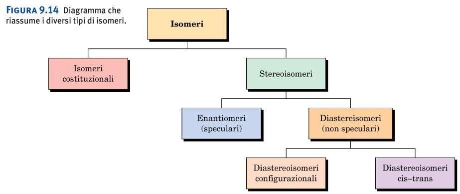 Stereochimica: miscela racemica La reazione dell acido lattico racemico con (R)-1-feniletilammina porta a una miscela di sali d ammonio diastereoisomerici.