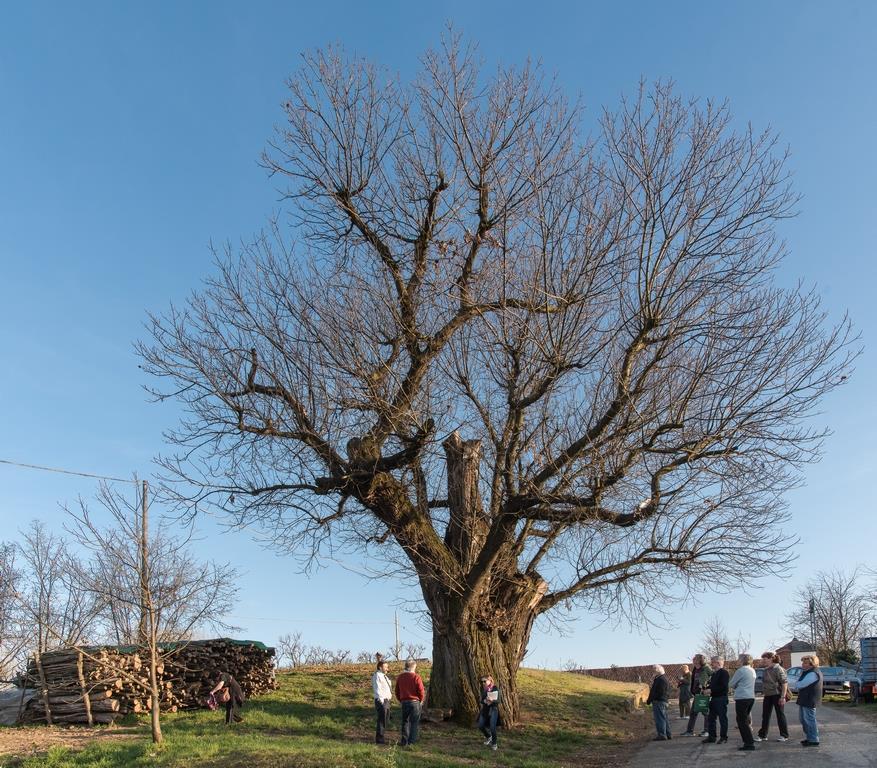 Veduta d insieme del Castagno