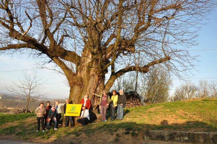 Foto ricordo davanti al plurisecolare castagno di dimensioni