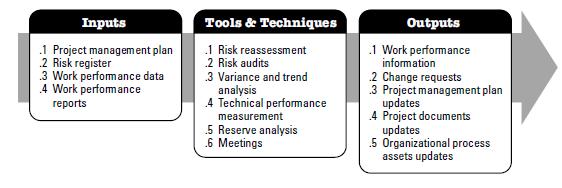 Control Risks (1) Risk Audits examine and document the effectiveness of