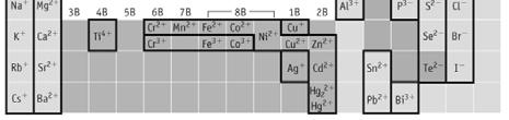 6A Gruppo 7A C 4 -,carburo N 3 -, nitruro O 2 -, ossido F -, fluoruro S 2 -, solfuro Cl -, cloruro