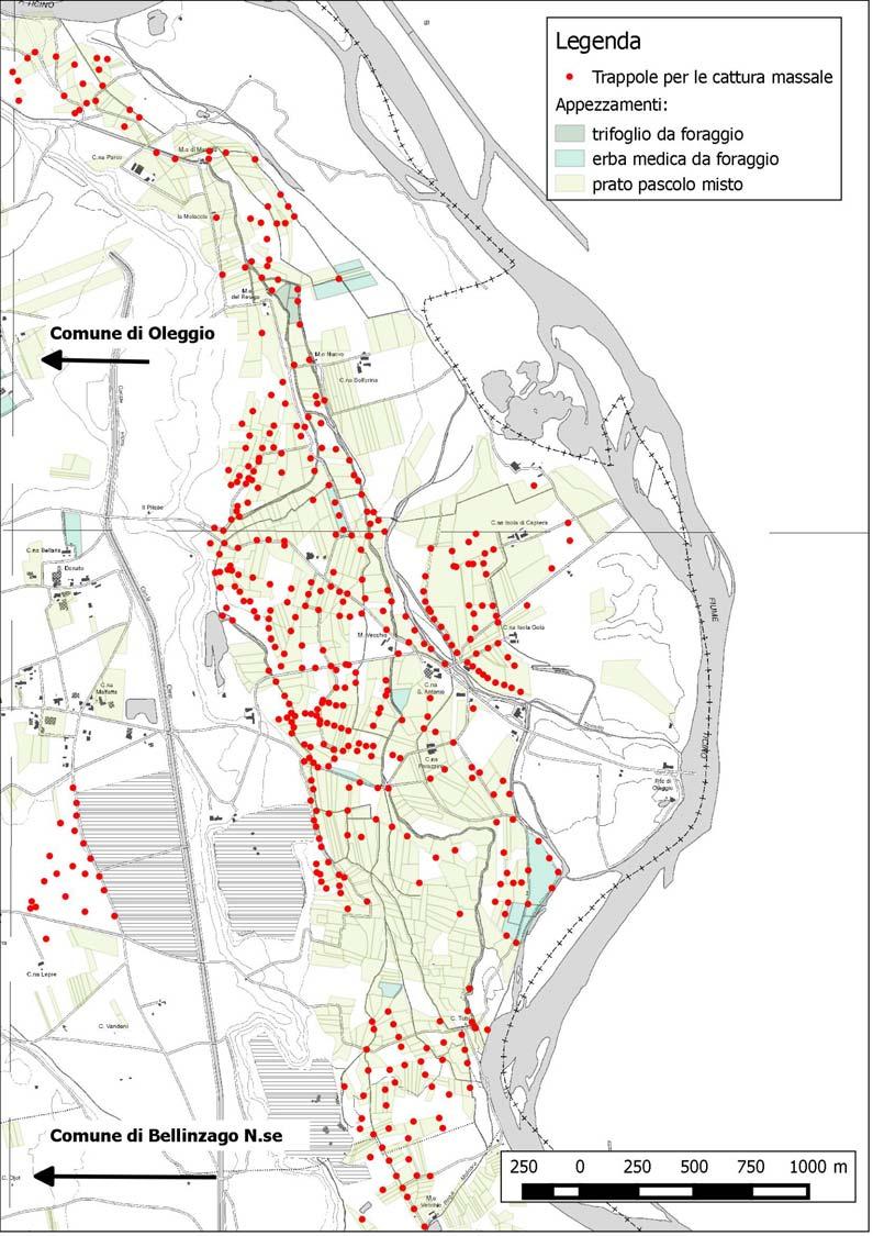 Appezzamenti nella zona maggiormente infestata, utilizzati a prato pascolo misto,