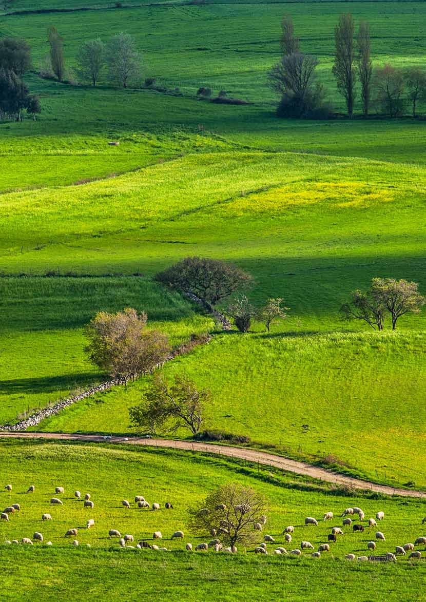 Un viaggio alla scoperta di gusti e sensazioni A