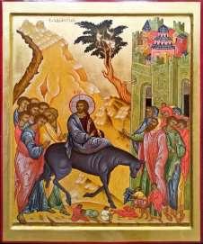 Gesù su un asina Non si è mai visto negli arazzi, nei mosaici, nei dipinti del tempo un condottiero o una persona importante entrare in una città capitale, come Gerusalemme, a cavallo di un asina.