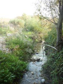 STAZIONE R110271MN Il torrente Menocchia nasce a m 313 da La Grottaccia presso Montalto delle Marche. Sfocia nel mare Adriatico fra il Tesino e l'aso a Ponte Menocchia.